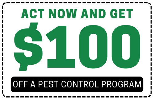 AOB_Pest_Coupon