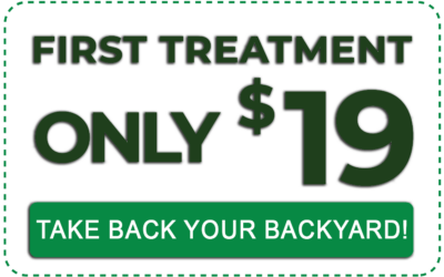 BOG_Offer-400x250