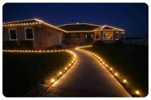 BOG Holiday Lights 1