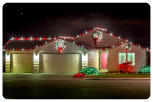 BOG Holiday Lights 2