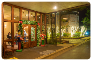 BOG Holiday Lights 5