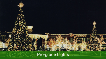 BOG Pro Lights