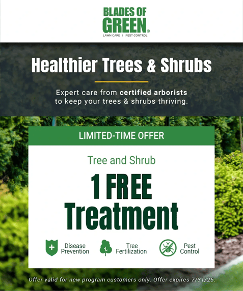 BG__Shrub_Ad_480x576-14