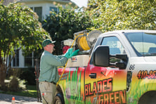 BladesofGrass-1032-scaled