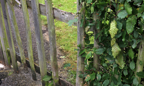 Damaged-Fence-500x300-1