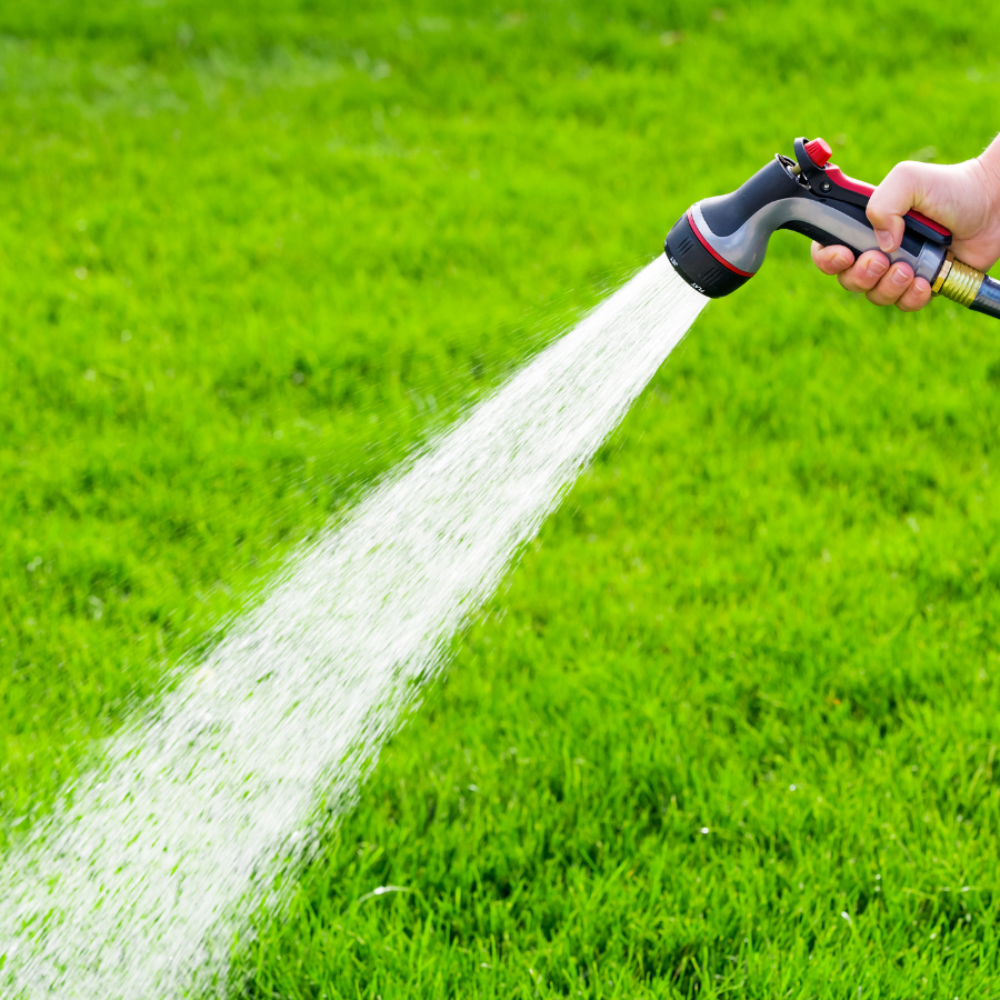 Proper-Lawn-Watering
