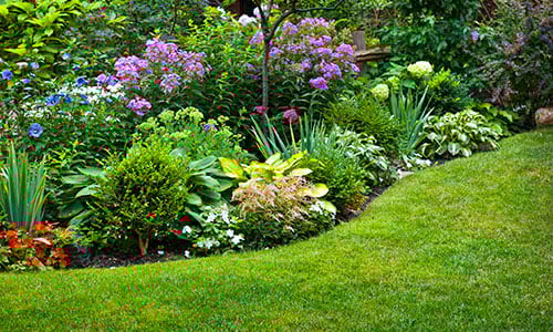 flowerbed-lawn-textimage