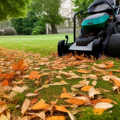 frost-on-the-lawn-1