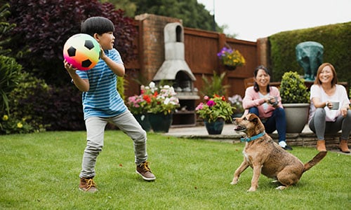 kid-ball-dog