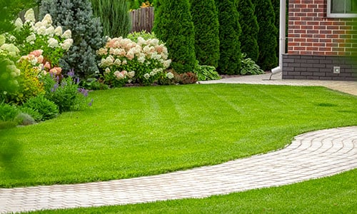 lawn-shrubs-textimage