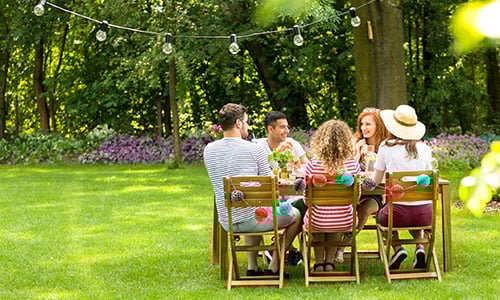 table-lawn-friends