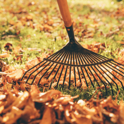 winterizing-your-lawn-for-winter-