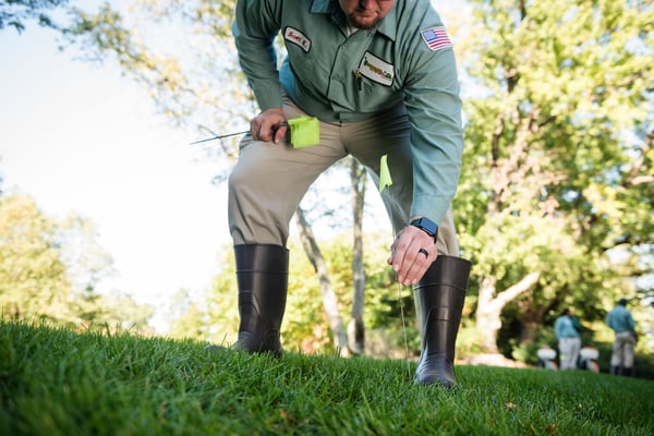 BladesofGrass-0225