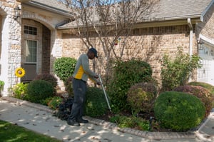 Deep Root Watering Edgewater Blades of Green