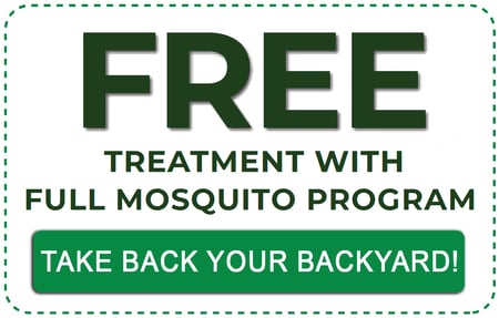 EL_FREE_Offer