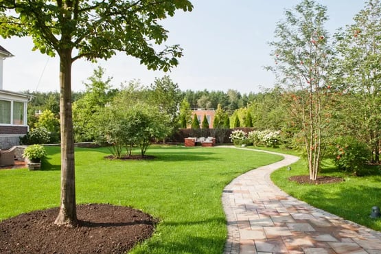 Tree Path