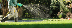 Miscellaneous-Header-Images-5
