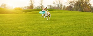 dog-frisbee-header-2
