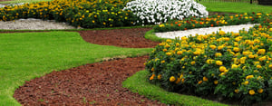 flowerbeds-header-Aug-29-2025-06-17-14-4784-PM
