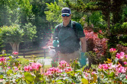 Pest Control Treatment Plan