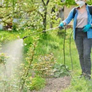 pest_control_sprayer_backyard-300x300