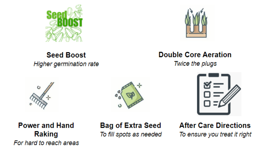 aeration and overseeding benefits from blades of green