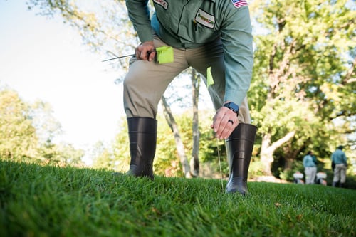 blades of gree lawn technician assessing soil