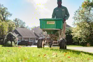 blades of green lawn tech servicing for lawn care