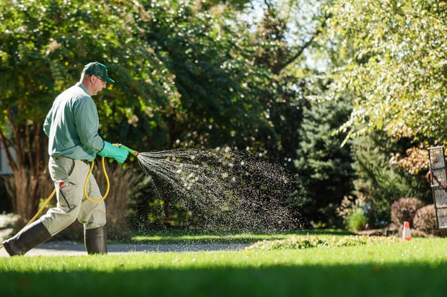 blades of green liquid aeration application