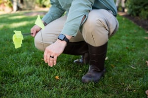 blades of green tech marking lawn for pest control