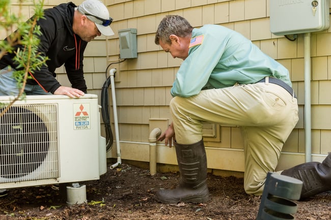 blades of green technician looking for rodents