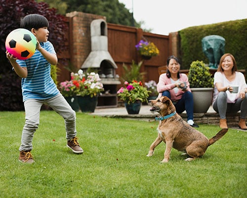 kid-ball-dog-tall-textimage