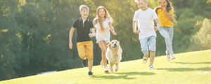 lawn-care-program-1