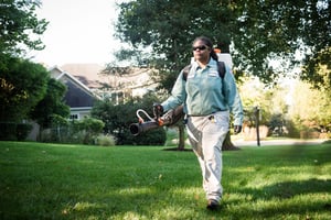 pest control edgewater md