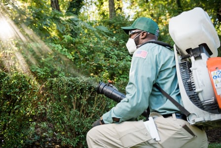 pest control springfield va