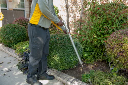 professional application deep root watering annapolis blades of green