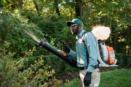 professional exterior treatment pest control annapolis