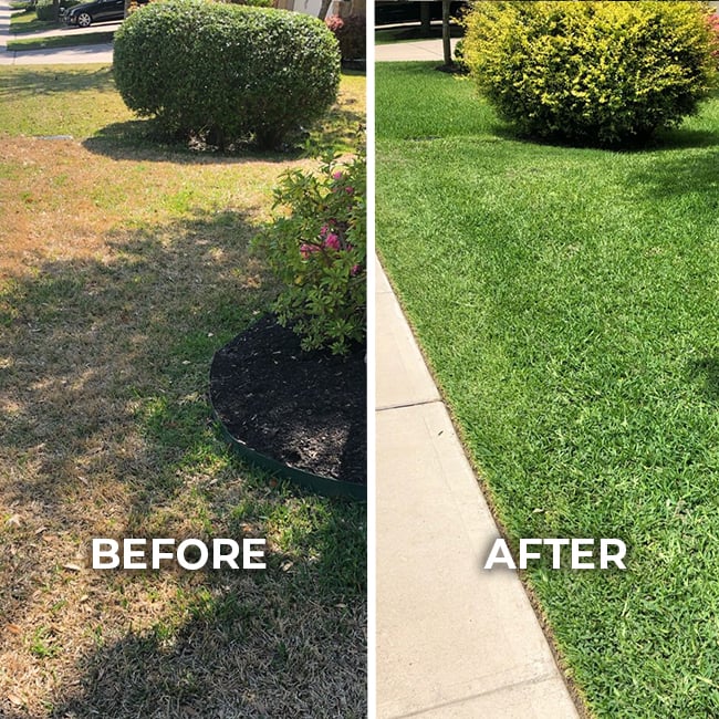 Patchy grass before and after lawn treatment