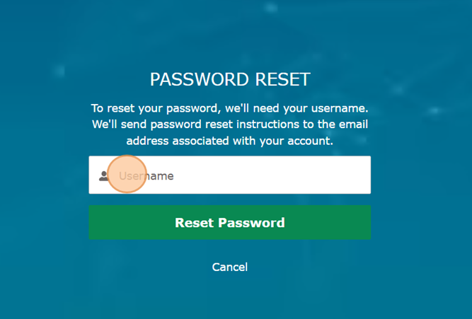 Email showing username for password reset