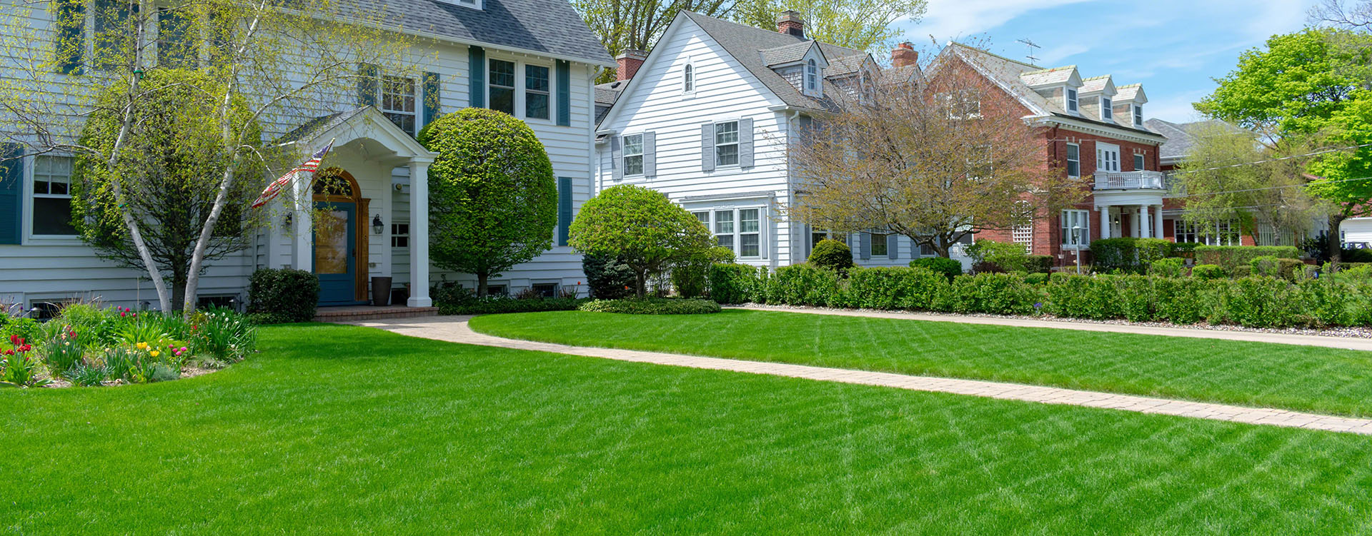 How To Get Rid of Brown Patch Lawn Disease