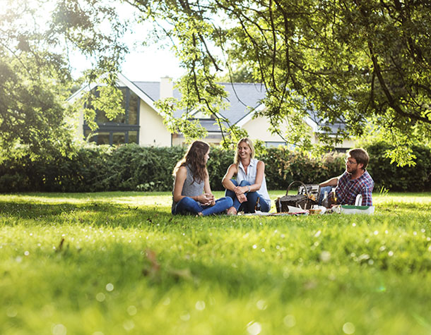 lawn-picnic-1